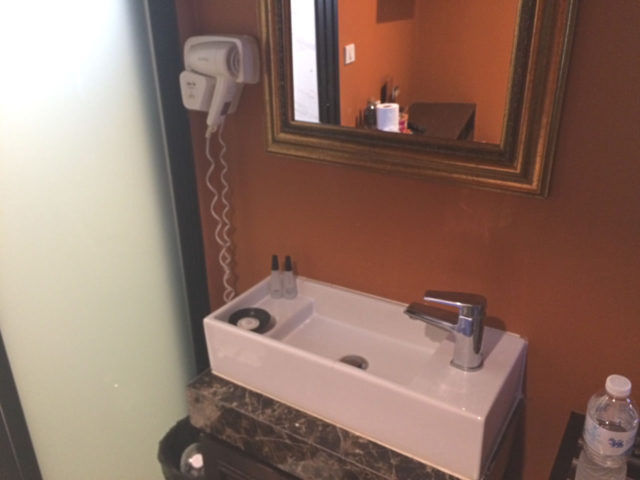 室内の様子 洗面所